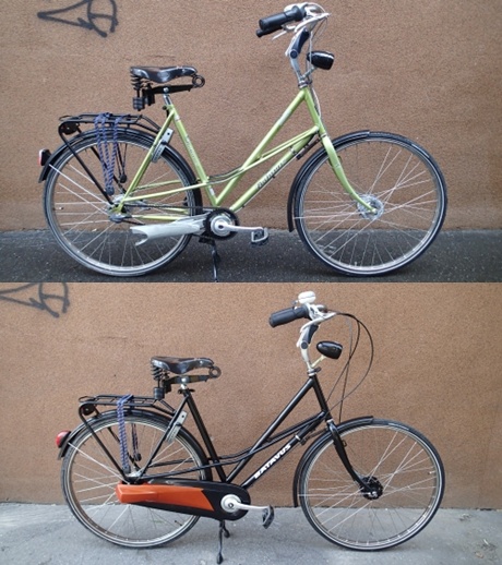 batavus